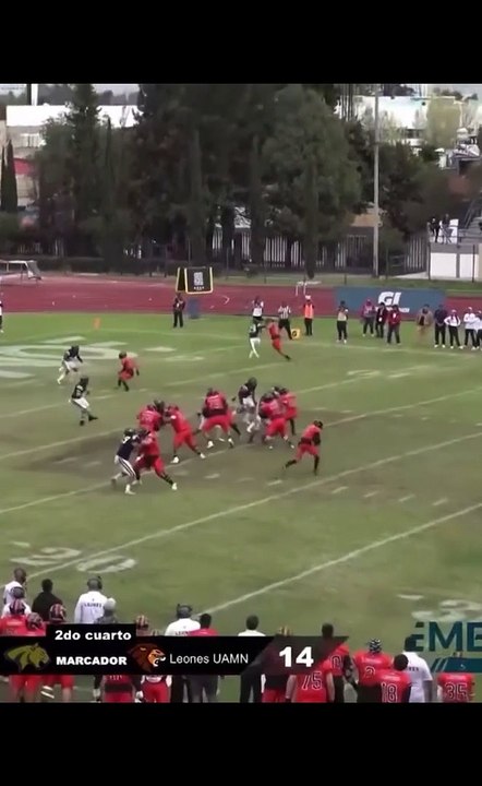 Lo dejan solo, completamente solo, y caminando se va al touchdown, onefa #onefa #collegefootball #highlights #touchdown