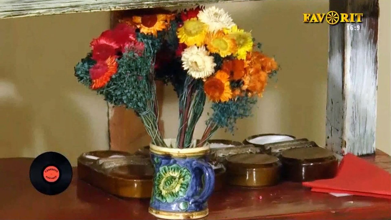 Cristina Chiruta - Ciobanel de la campie (Cantecul favorit - Favorit TV - 03.11.2018)