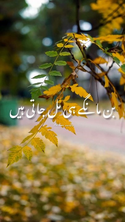 Urdu poetry || Urdu status || Urdu watsapp status