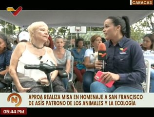 Mascotas de Caracas fueron bendecidas en actividad religiosa en honor a San Francisco de Asís