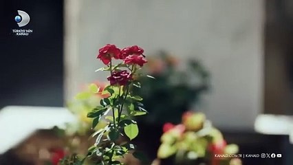 Dönence 14.Bölüm Fragmanı