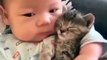 Kitten and baby are good friends _shorts _short _viral _video _ytshorts _shortvideo _cat _cute _baby(360P)