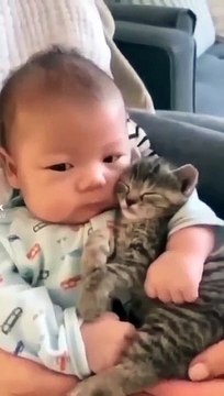 Kitten and baby are good friends _shorts _short _viral _video _ytshorts _shortvideo _cat _cute _baby(360P)