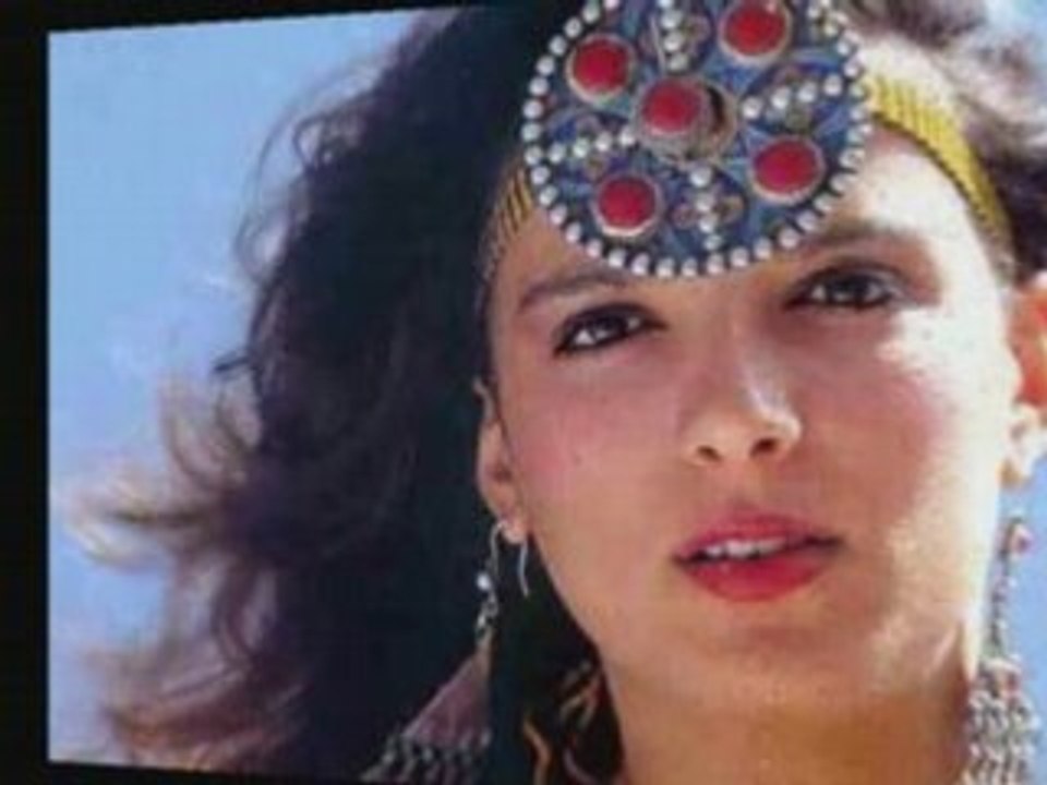 L'hirondelle - AFOUS