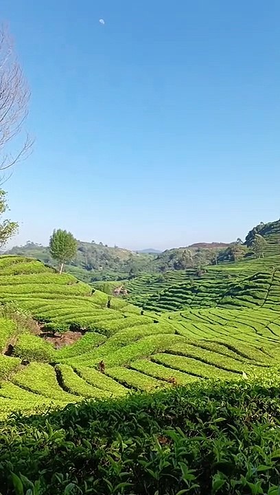 Beautiful Nature Indonesia Wonderful Indonesia