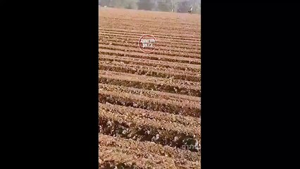 فيديو لحظة إطلاق النار على مستوطنين محتفلين بعيد العرش.. والآثار التي خلفها هجوم المقاومة