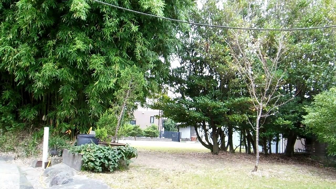 Autumn Bird Sounds at the Old Japanese Farm House