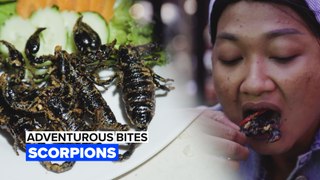 Adventurous Bites: Interested in a mouth full of scorpions?