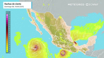 Modelo ECMWF - Ráfagas de viento en km/h