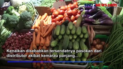 Gagal Panen akibat Kemarau Panjang, Harga Sayur Mayur Naik