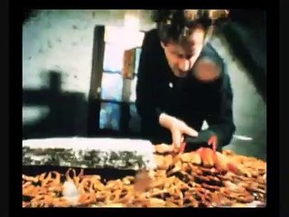 Der Glanz dieser Tage Bande-annonce (EN)