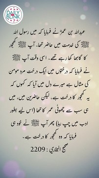 Daily Hadees | Hadees Sharif | Sahih Bukhari 2209 || Daily Blink #shorts #viral #sahihbukhari