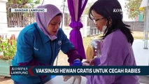 Cegah Rabies, Balai Veteriner Gelar Vaksinasi Hewan Gratis