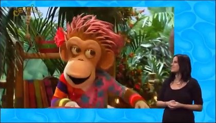 ZingZillas: Series 3: Cooking in the Kitchen (signed)