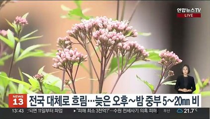 [날씨] 한글날 흐리고 중부 한때 비…내륙 큰 일교차 주의