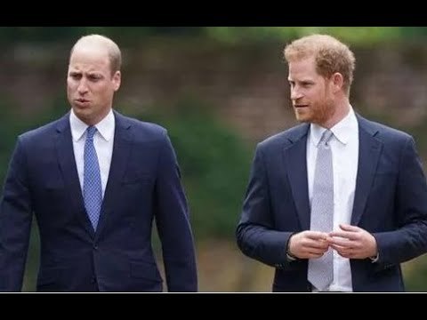 La partenza del principe Harry davvero pessima per la salute mentale di William Ha perso il suo m