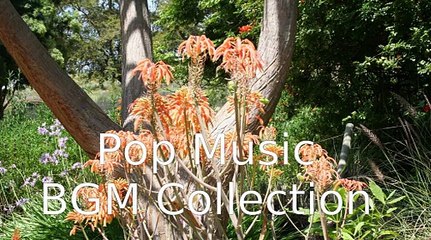 Everlasting Luv／BAMBINO  音楽 JPOP BGM, BREAKERZ, Relaxing Music - Instrumental BGM, music