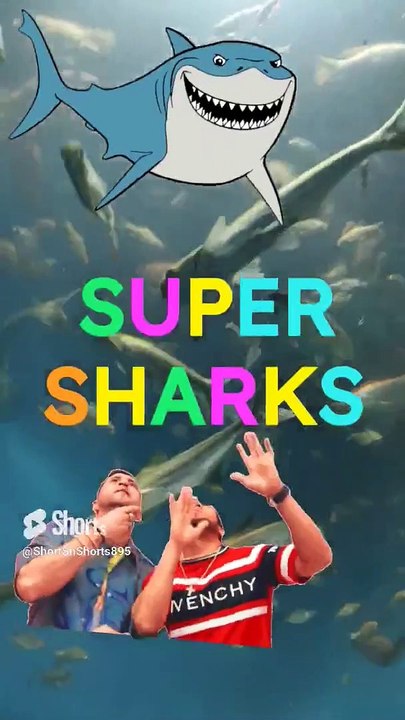 Big Sharks  _  Tiger Sharks _ Overhead Aquarium #shorts