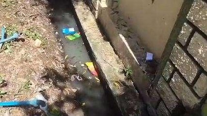 बालाघाट: गंदगी की समस्या से जूझ रहे शहरवासी, जिम्मेदार नहीं दे रहे ध्यान