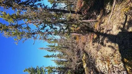 Alone.S10E01.Game.On.720p.10bit.WEBRip.x265-budgetbits