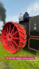 Worlds biggest steam tractor #shorts #viral #shortsvideo #video #innovationhub