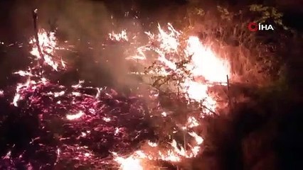Yangın tren yoluna sıçradı, uluslararası lojistik tren seferi durdu