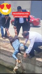 Cuatro hombres se unen para ayudar y rescatar a un perrito en Chiclayo