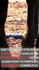 The Lateral Raise Sculpt Your Shoulders  Conscious Fit Life