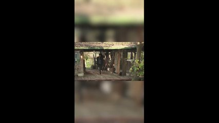 Melek'e Yardıma Koştu! | Acı Aşk #shorts