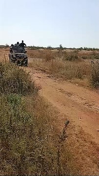 Mukundara Hills Tiger Reserve: पहली बार मुकुन्दरा हिल्स टाइगर रिजर्व में शुरू हुई सफारी