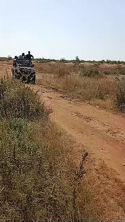 Mukundara Hills Tiger Reserve: पहली बार मुकुन्द...