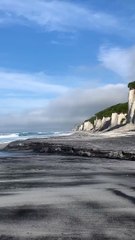Un ours escalade une énorme falaise
