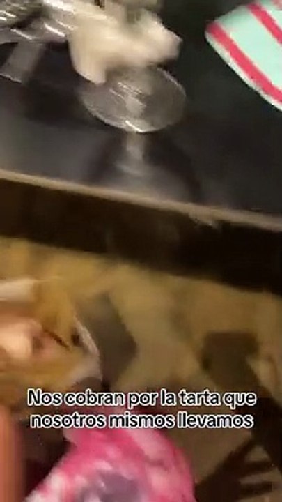Un restaurante de Almería le cobra por esto a una clienta y el vídeo arrasa en TikTok