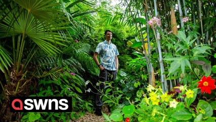 Dad has 'no need’ to take holidays after creating 'jungle’ in garden