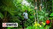 Dad has 'no need’ to take holidays - after creating 'jungle’ in garden
