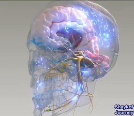 intelligence largely depends on the activity of associative connections in the brain