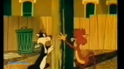 L'Incredibile Amicizia tra Silvestro e Titti 🐦