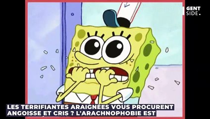 Si vous avez peur de cet objet, vous êtes victime de pittakionophobie