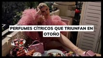 Perfumes cítricos que triunfan en otoño