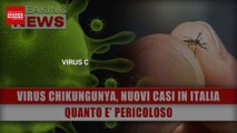 virusVirus Chikungunya, Nuovi Casi In Italia: Quanto E’ Pericoloso?