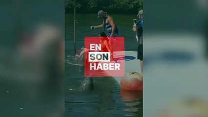 Oyun oynamak isteyen yunus balığı kadına zor anlar yaşattı