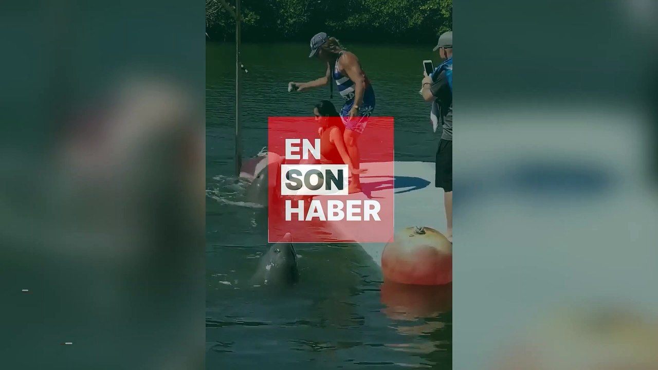 Oyun oynamak isteyen yunus balığı kadına zor anlar yaşattı
