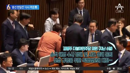 ‘총선 한일전’ 다시 꺼낸 野…윤미향 따라하기?