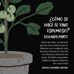 -Jacobo Shemaria Capuano- ¿En cuanto tiempo debemos consumir el producto? Parte (2) (Creado por @JacoboShemariaCapuano)