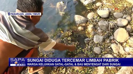 Video herunterladen: Sungai di Pasuruhan Tercemar Limbah Pabrik, Warga Keluhkan Gatal-Gatal dan Bau Menyengat