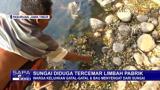 Sungai di Pasuruhan Tercemar Limbah Pabrik, Warga Keluhkan Gatal-Gatal dan Bau Menyengat