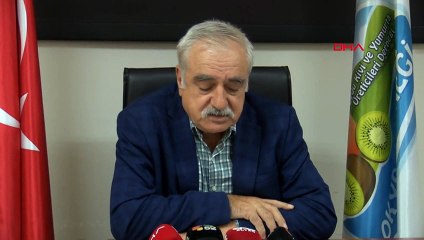 Ordu Kivisinin Fiyatı Açıklandı: Yüzde 110 Artış