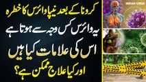 Nipah Virus In Pakistan - Nipah Virus Kya Hai | Nipah Virus Kis Wajah Se Hota Hai - Iska Ilaj Kya Ha