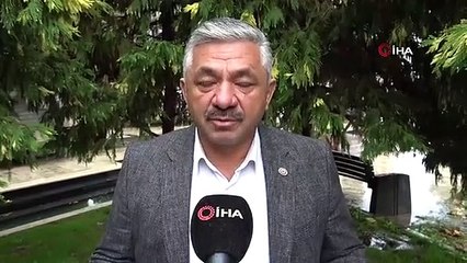 Kahverengi Kokarcalar Tarım Ürünlerine Zarar Veriyor