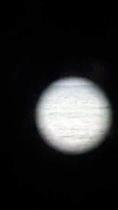 Video footage shows fin off the coast in West Sussex - but was it a shark or a seal?